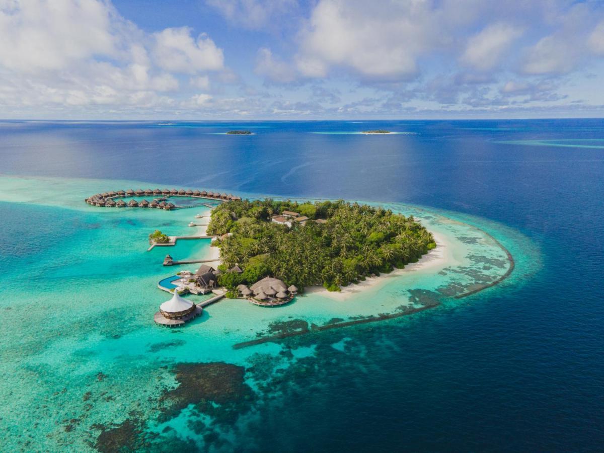 Туры на мальдивы из спб 2024. Baros Maldives, Мальдивы. Каафу Атолл Мальдивы. Московские Мальдивы. Тур на Мальдивы из СПБ.